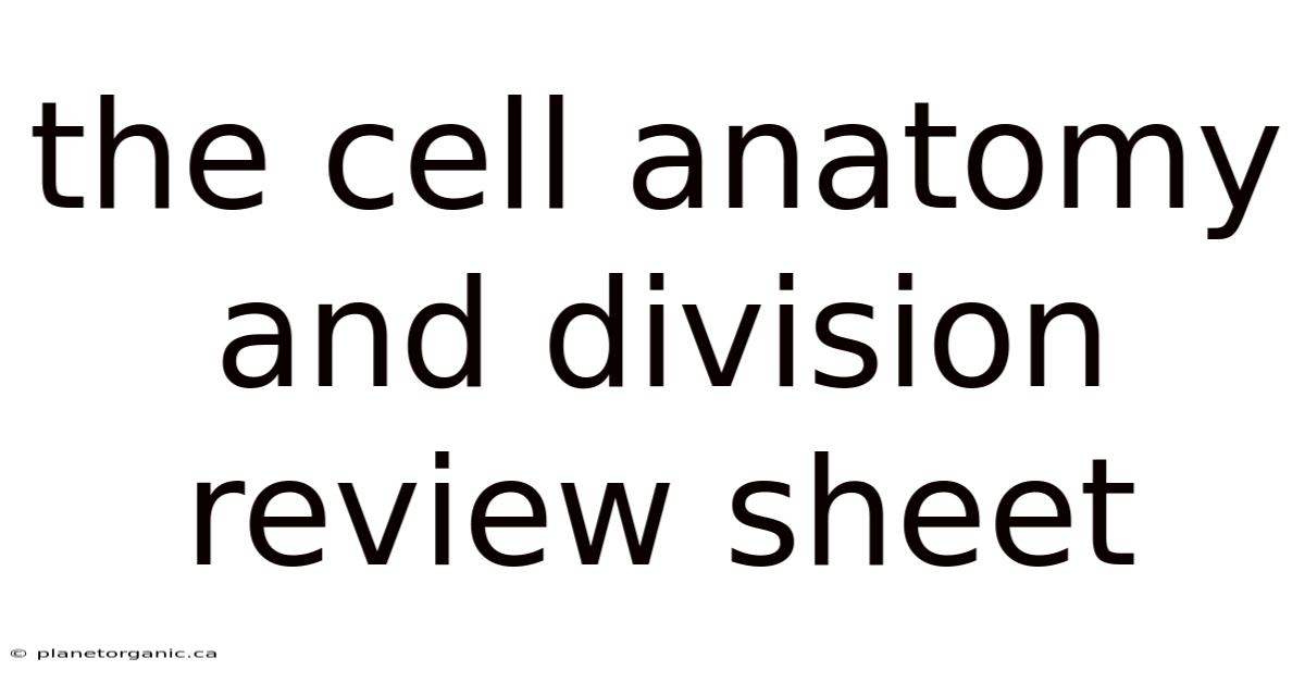 The Cell Anatomy And Division Review Sheet