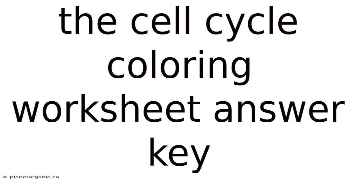 The Cell Cycle Coloring Worksheet Answer Key