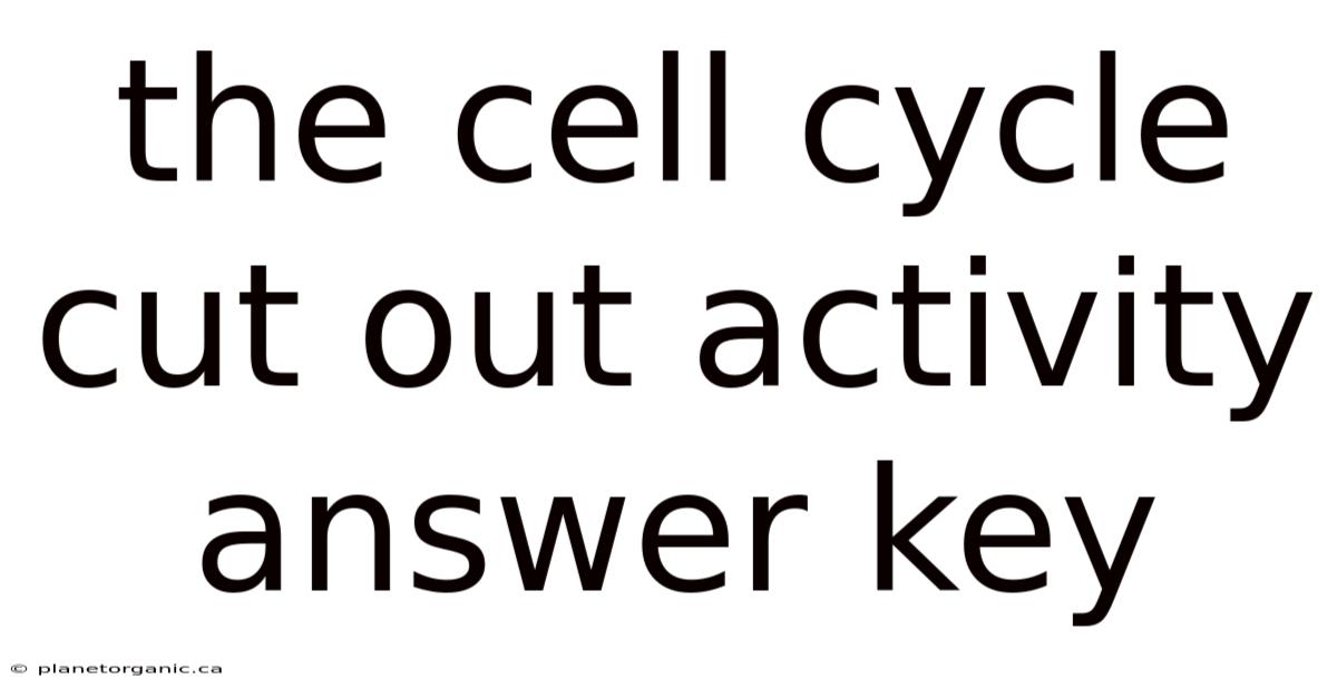 The Cell Cycle Cut Out Activity Answer Key