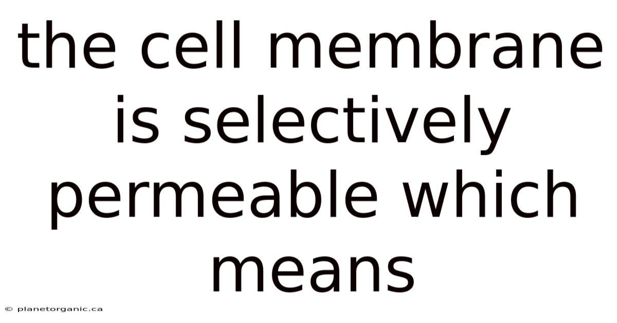 The Cell Membrane Is Selectively Permeable Which Means