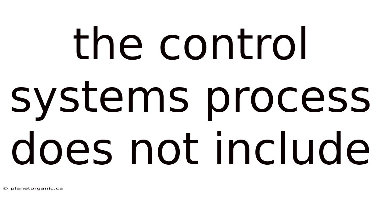 The Control Systems Process Does Not Include