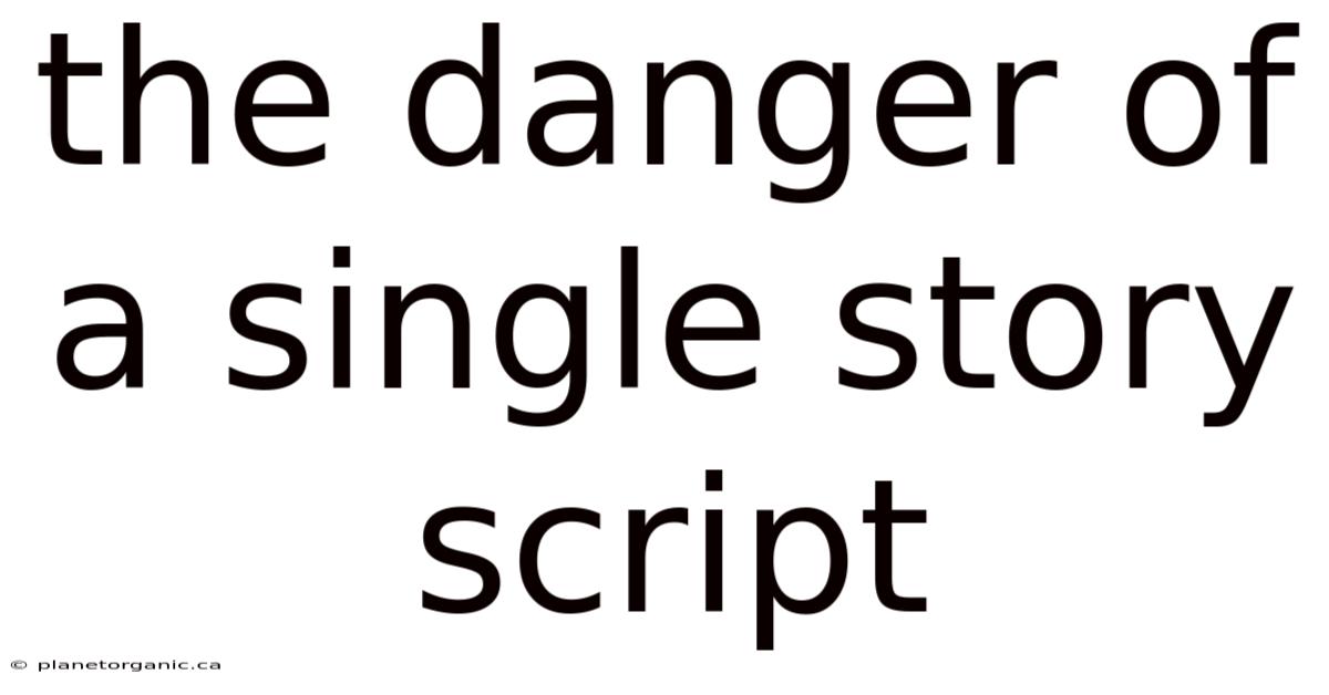 The Danger Of A Single Story Script
