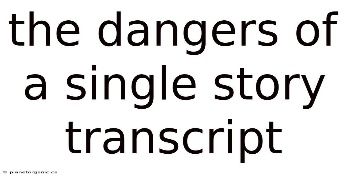 The Dangers Of A Single Story Transcript