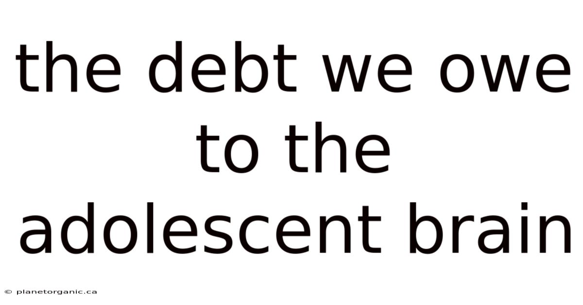 The Debt We Owe To The Adolescent Brain