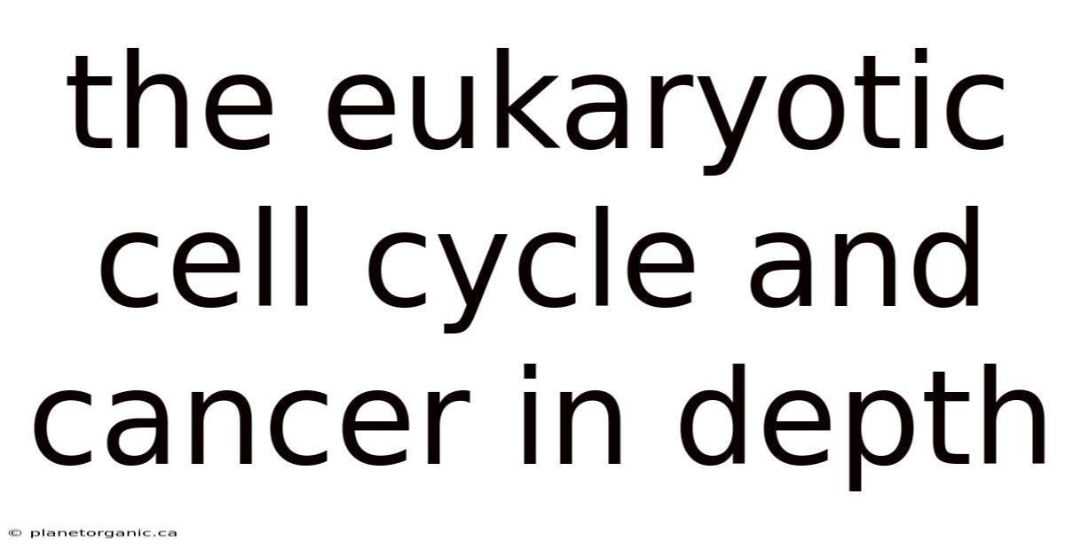 The Eukaryotic Cell Cycle And Cancer In Depth