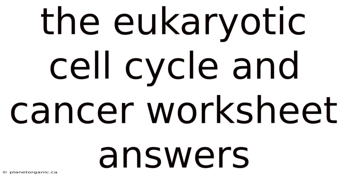 The Eukaryotic Cell Cycle And Cancer Worksheet Answers