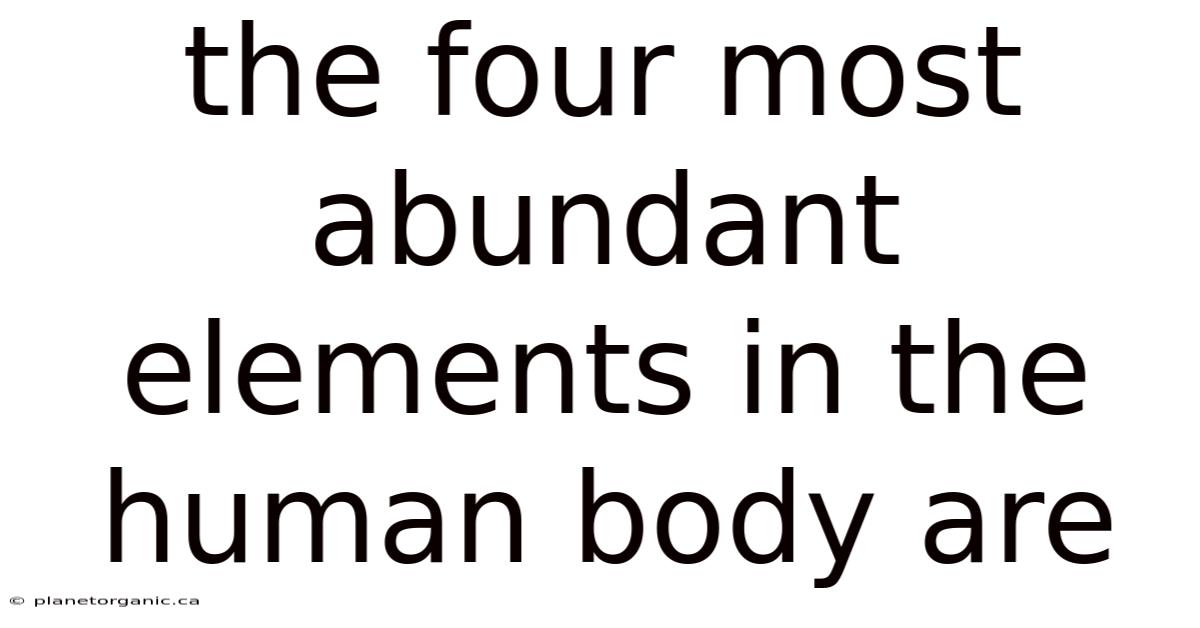 The Four Most Abundant Elements In The Human Body Are
