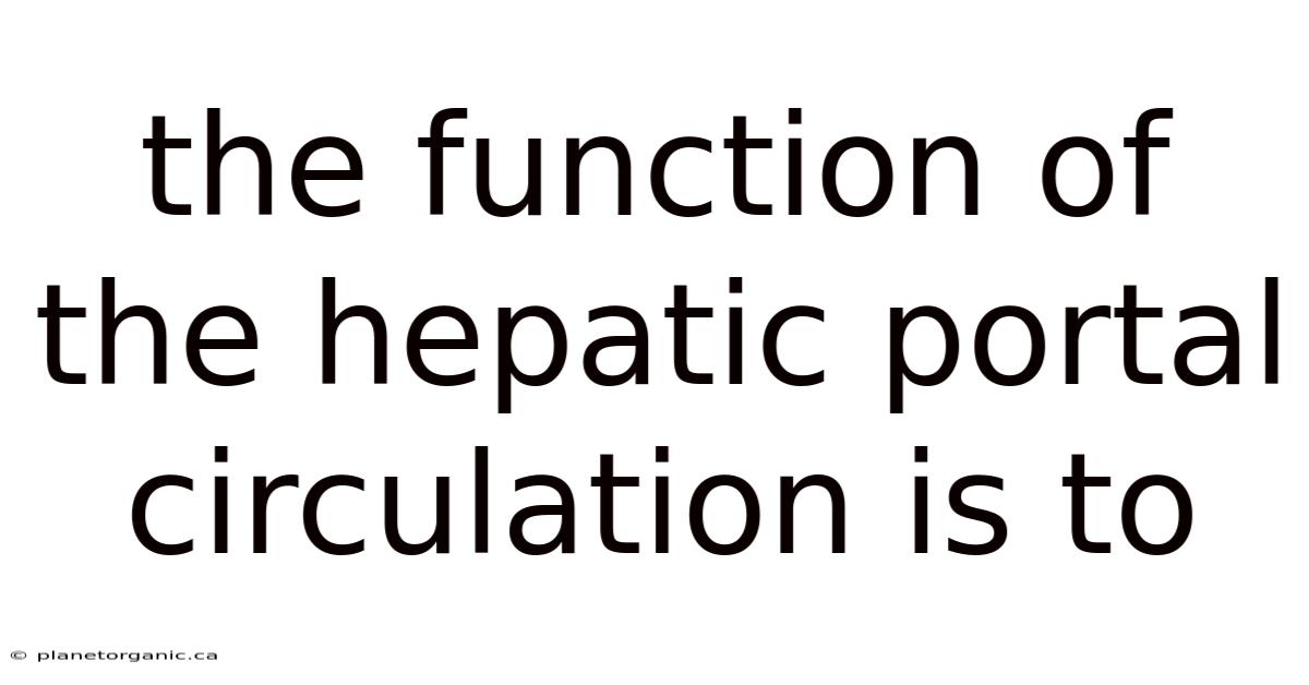 The Function Of The Hepatic Portal Circulation Is To