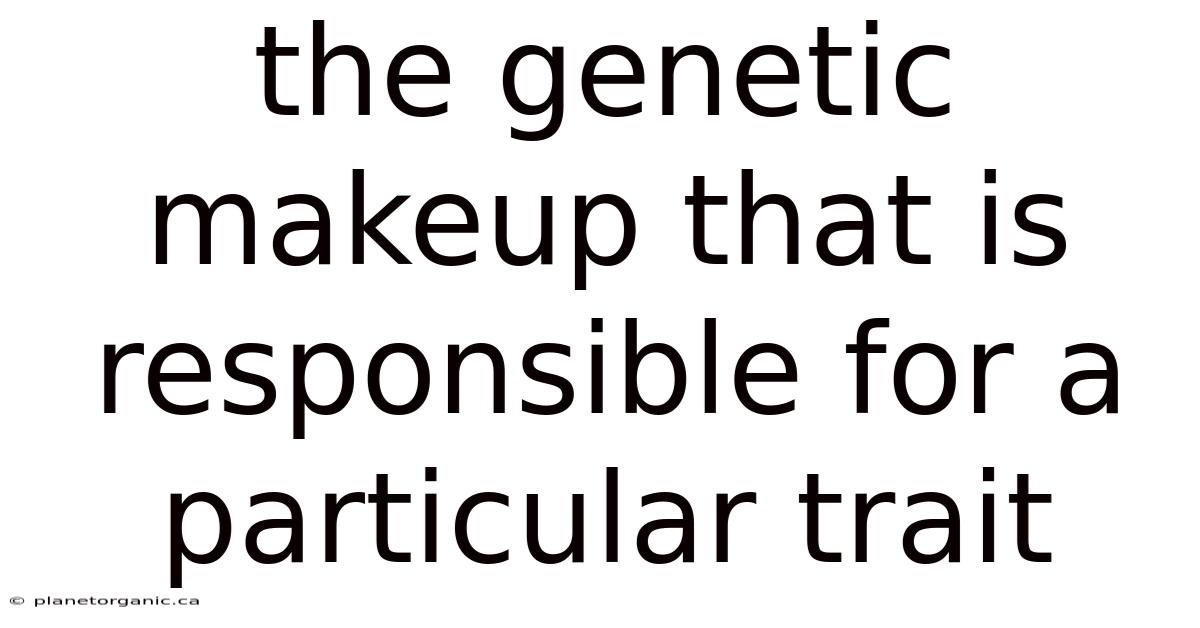 The Genetic Makeup That Is Responsible For A Particular Trait