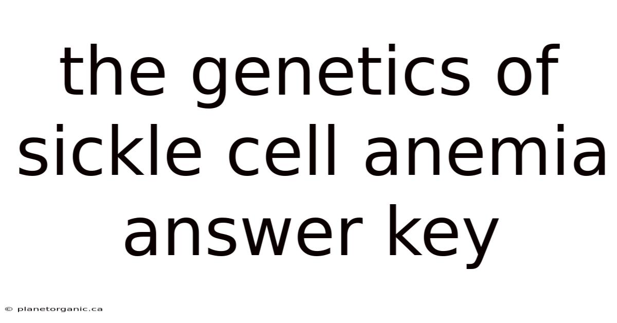 The Genetics Of Sickle Cell Anemia Answer Key