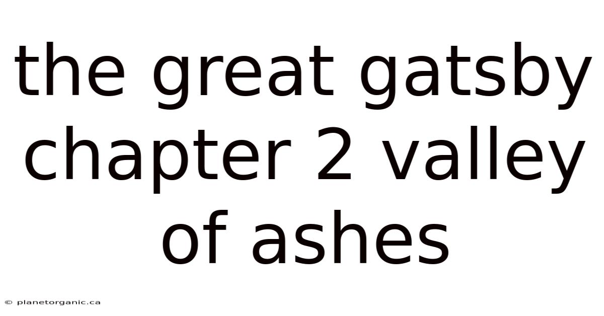 The Great Gatsby Chapter 2 Valley Of Ashes