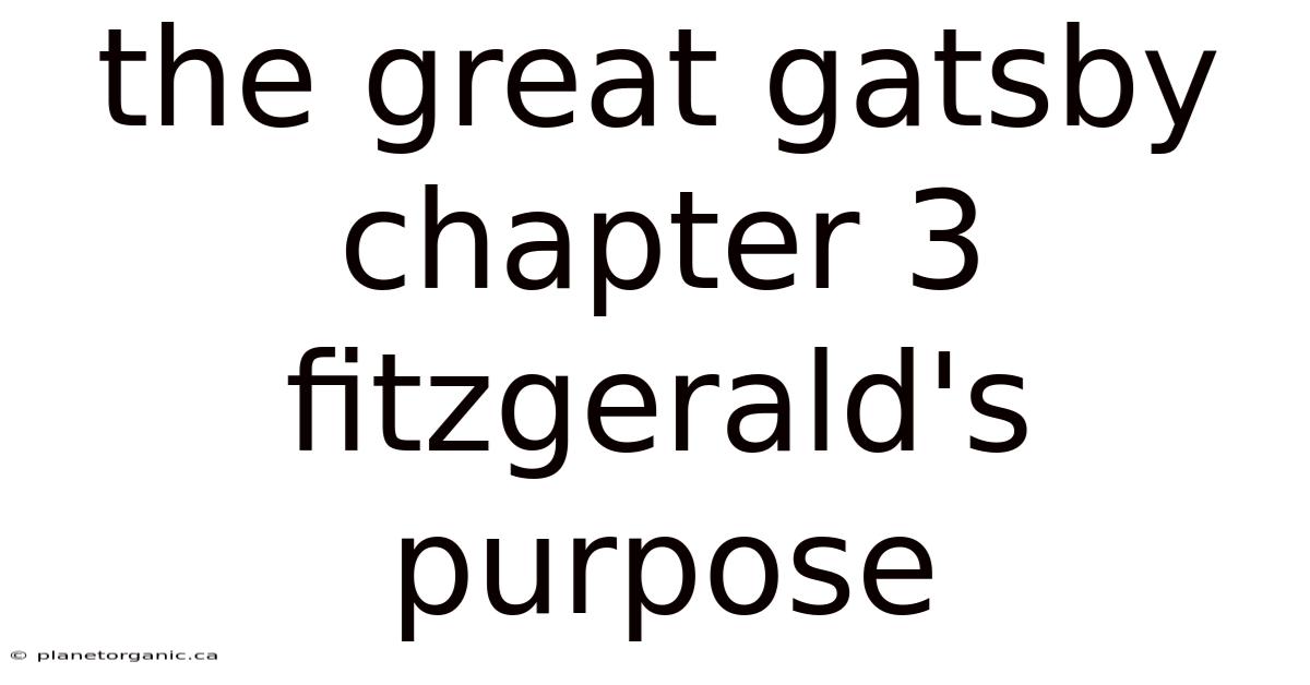 The Great Gatsby Chapter 3 Fitzgerald's Purpose