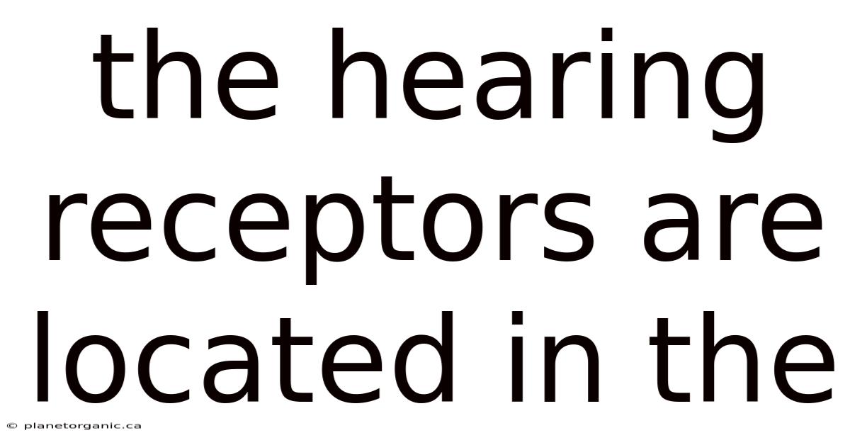 The Hearing Receptors Are Located In The
