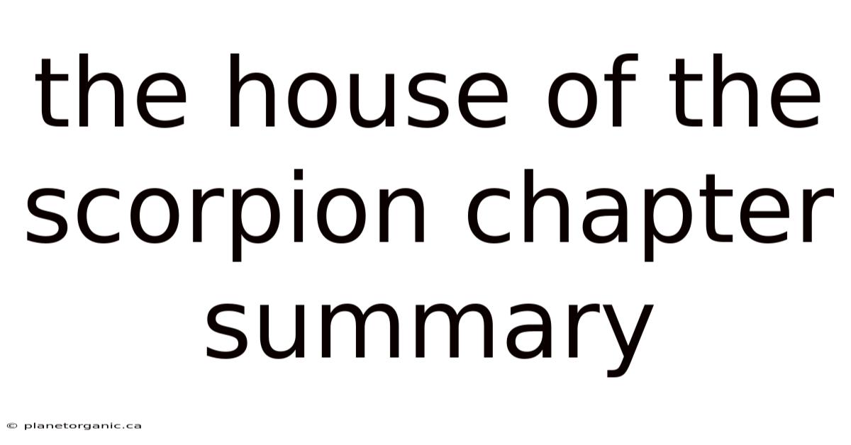 The House Of The Scorpion Chapter Summary