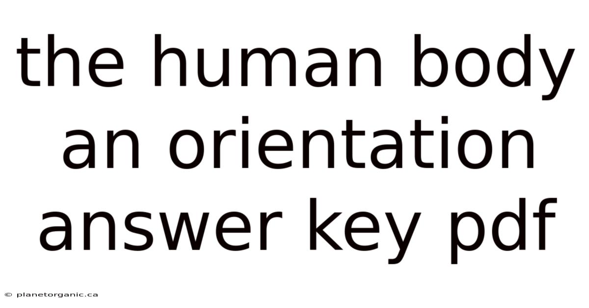 The Human Body An Orientation Answer Key Pdf