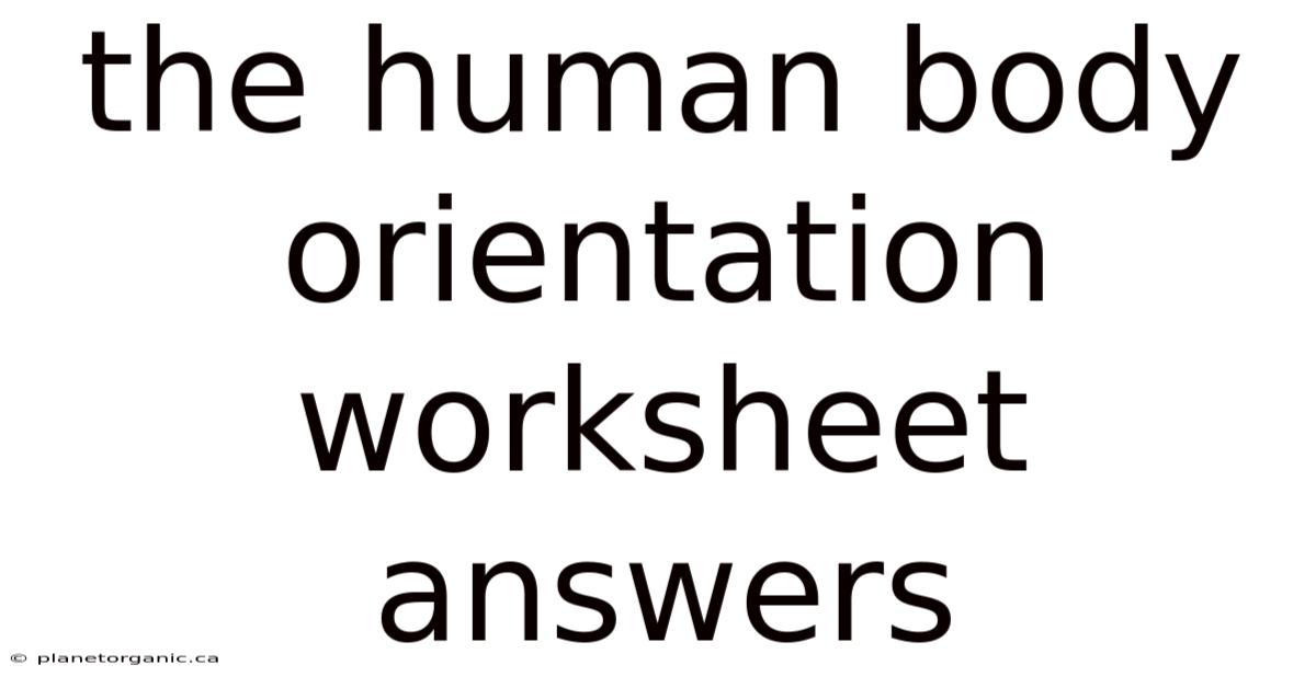 The Human Body Orientation Worksheet Answers