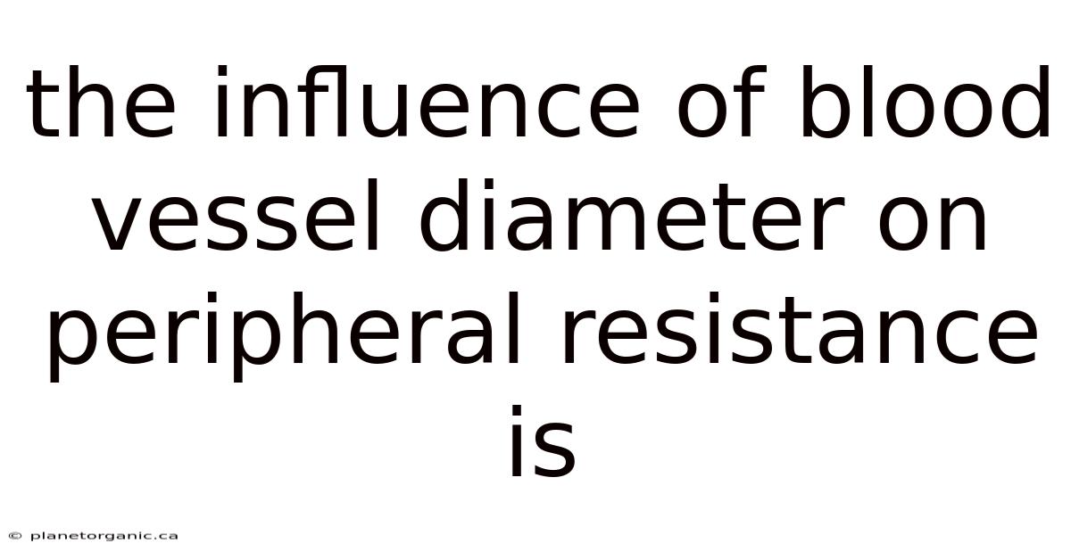 The Influence Of Blood Vessel Diameter On Peripheral Resistance Is