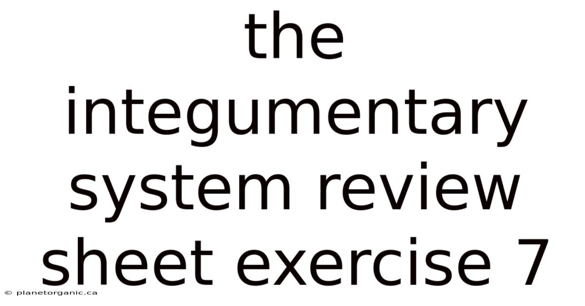 The Integumentary System Review Sheet Exercise 7