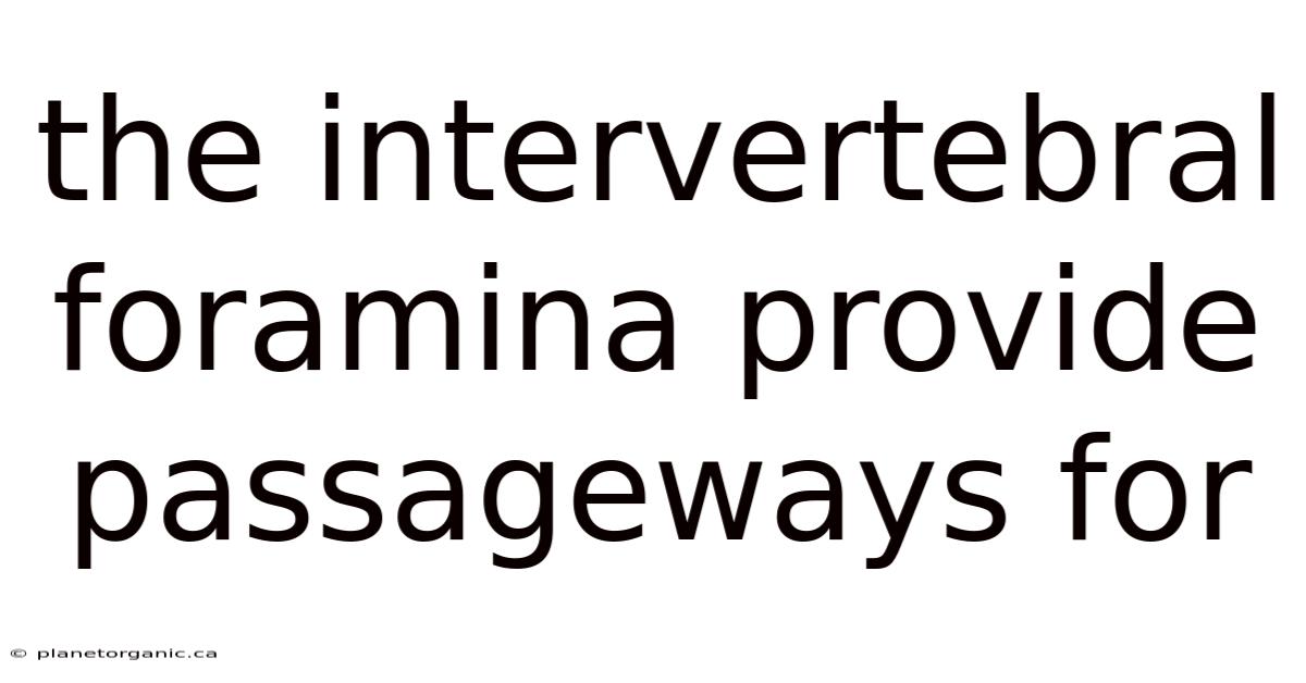 The Intervertebral Foramina Provide Passageways For