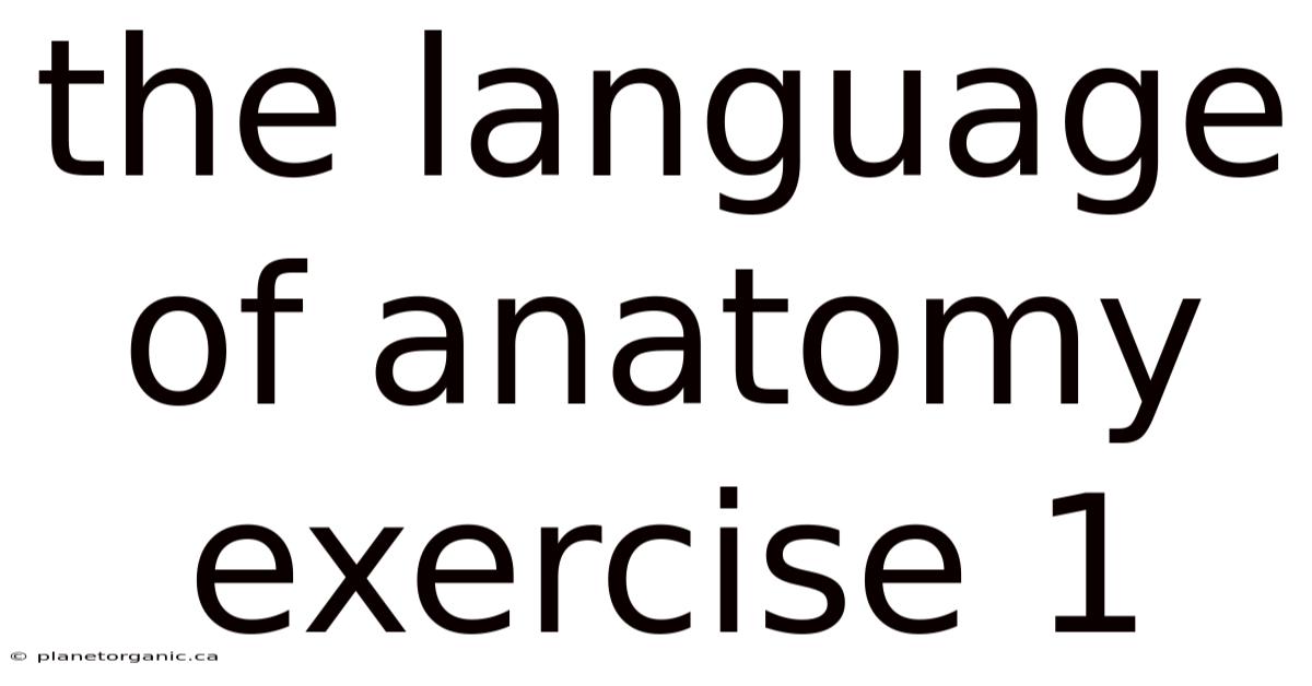 The Language Of Anatomy Exercise 1