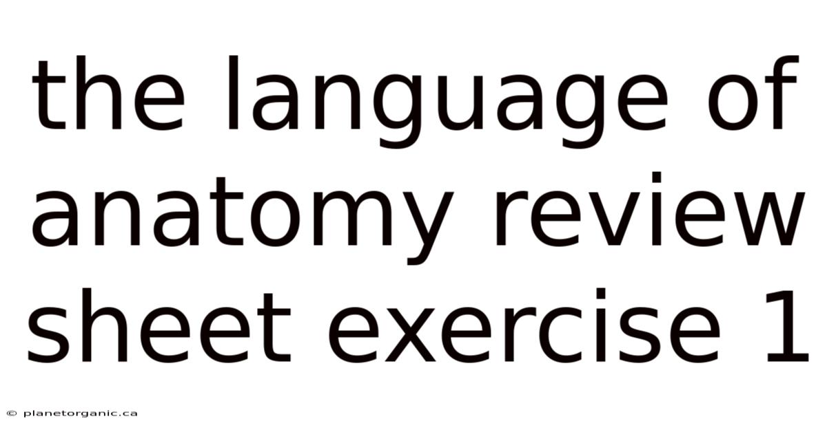 The Language Of Anatomy Review Sheet Exercise 1
