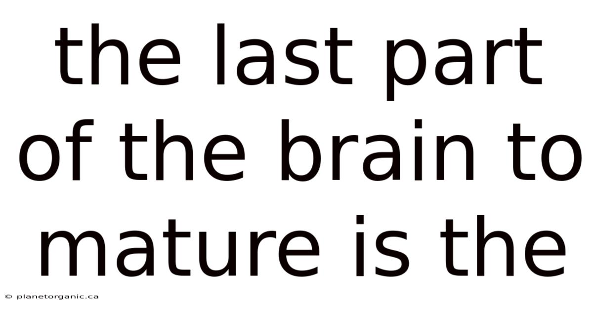 The Last Part Of The Brain To Mature Is The