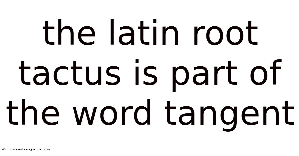The Latin Root Tactus Is Part Of The Word Tangent