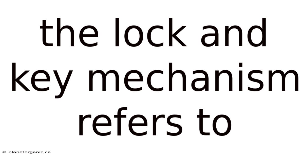 The Lock And Key Mechanism Refers To