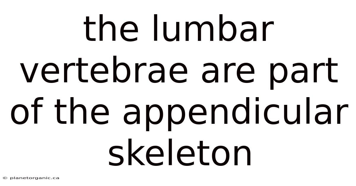 The Lumbar Vertebrae Are Part Of The Appendicular Skeleton