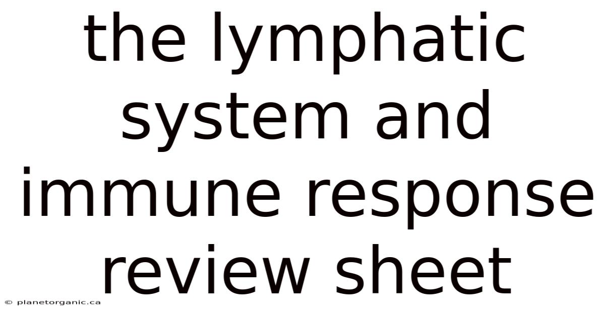 The Lymphatic System And Immune Response Review Sheet