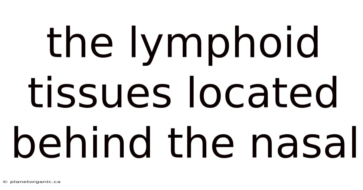 The Lymphoid Tissues Located Behind The Nasal