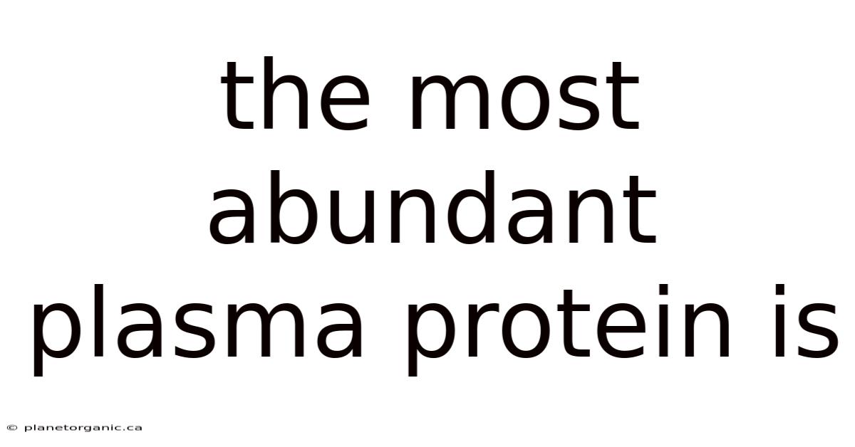 The Most Abundant Plasma Protein Is