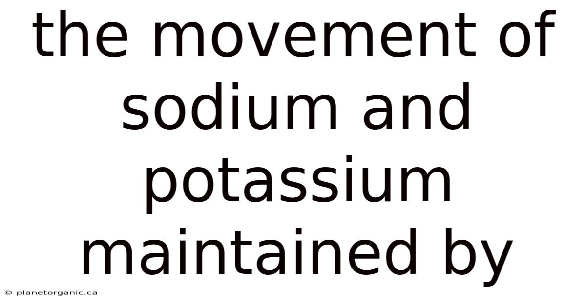 The Movement Of Sodium And Potassium Maintained By