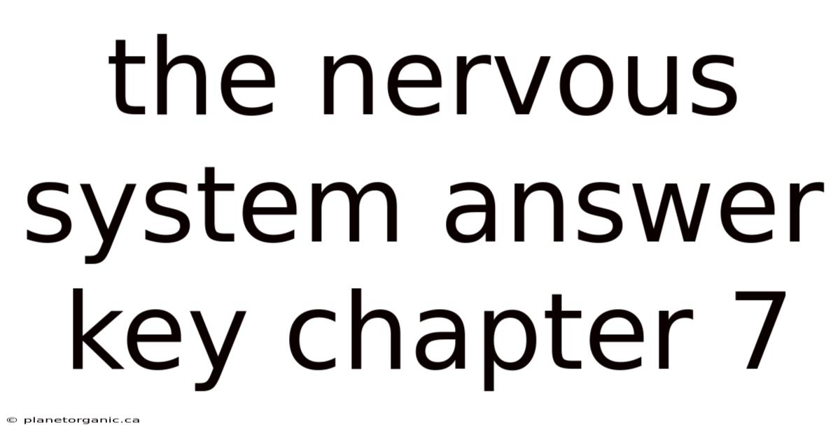 The Nervous System Answer Key Chapter 7