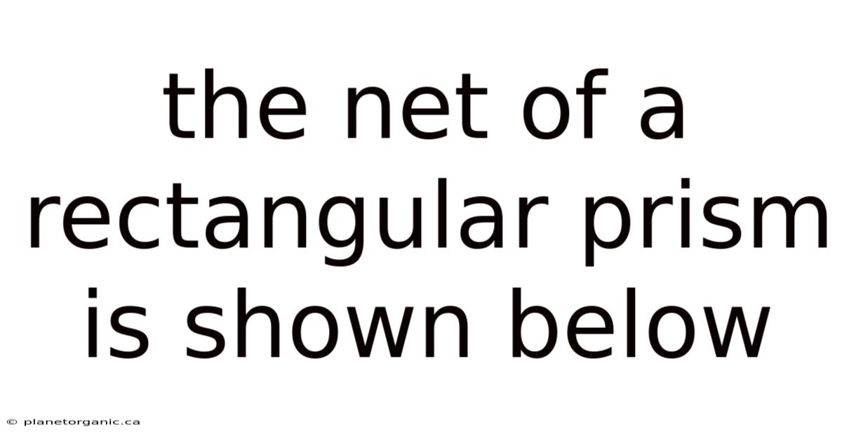 The Net Of A Rectangular Prism Is Shown Below