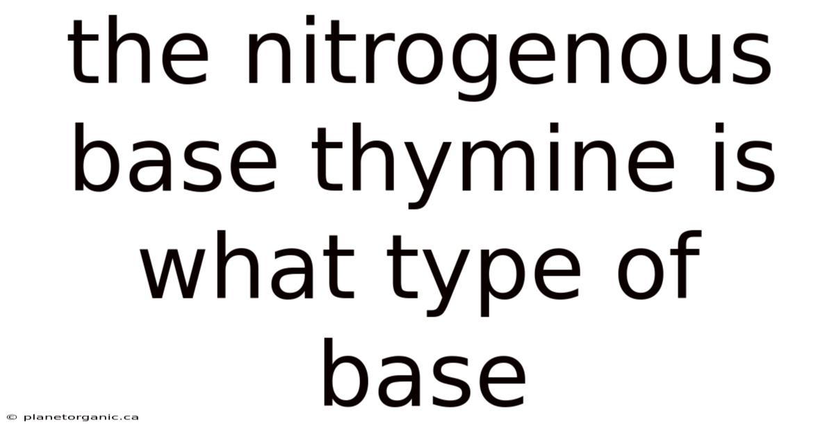 The Nitrogenous Base Thymine Is What Type Of Base