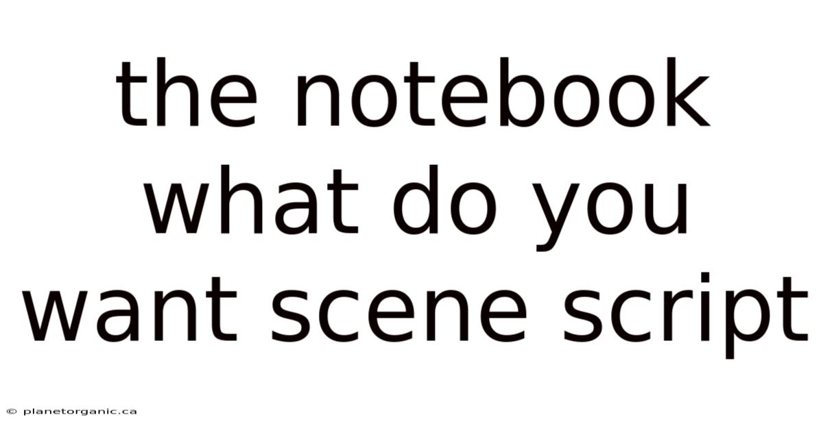 The Notebook What Do You Want Scene Script