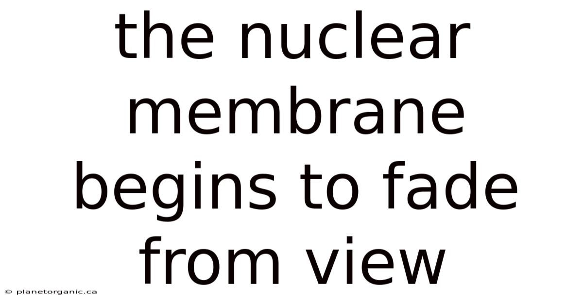The Nuclear Membrane Begins To Fade From View