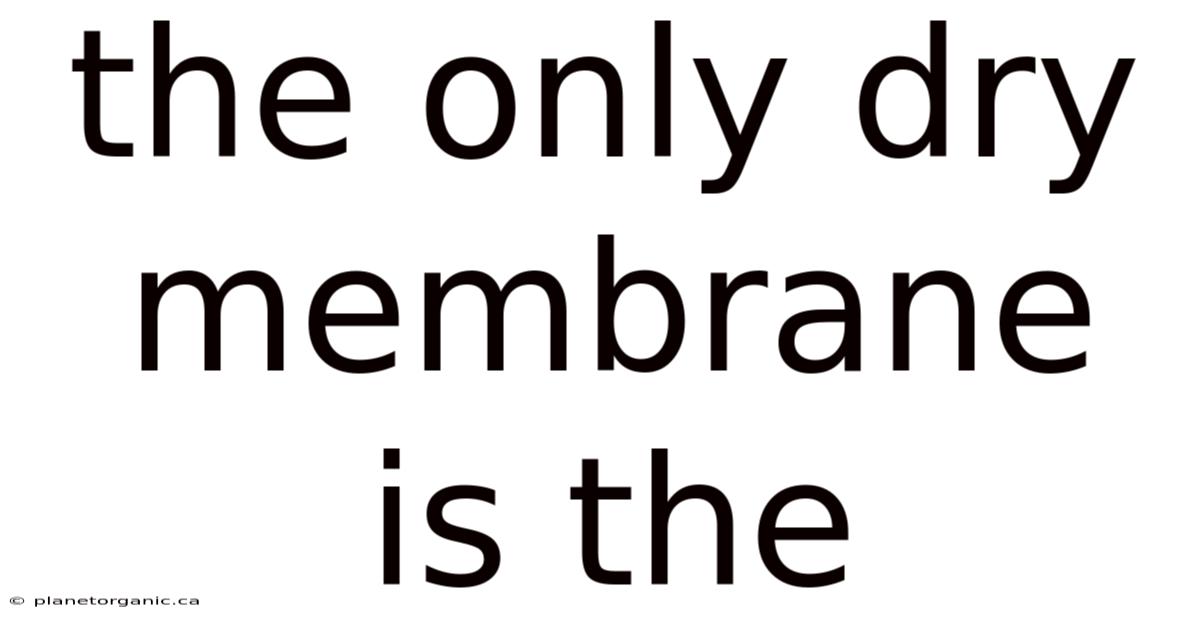 The Only Dry Membrane Is The