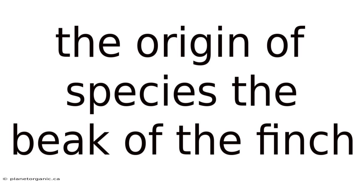 The Origin Of Species The Beak Of The Finch
