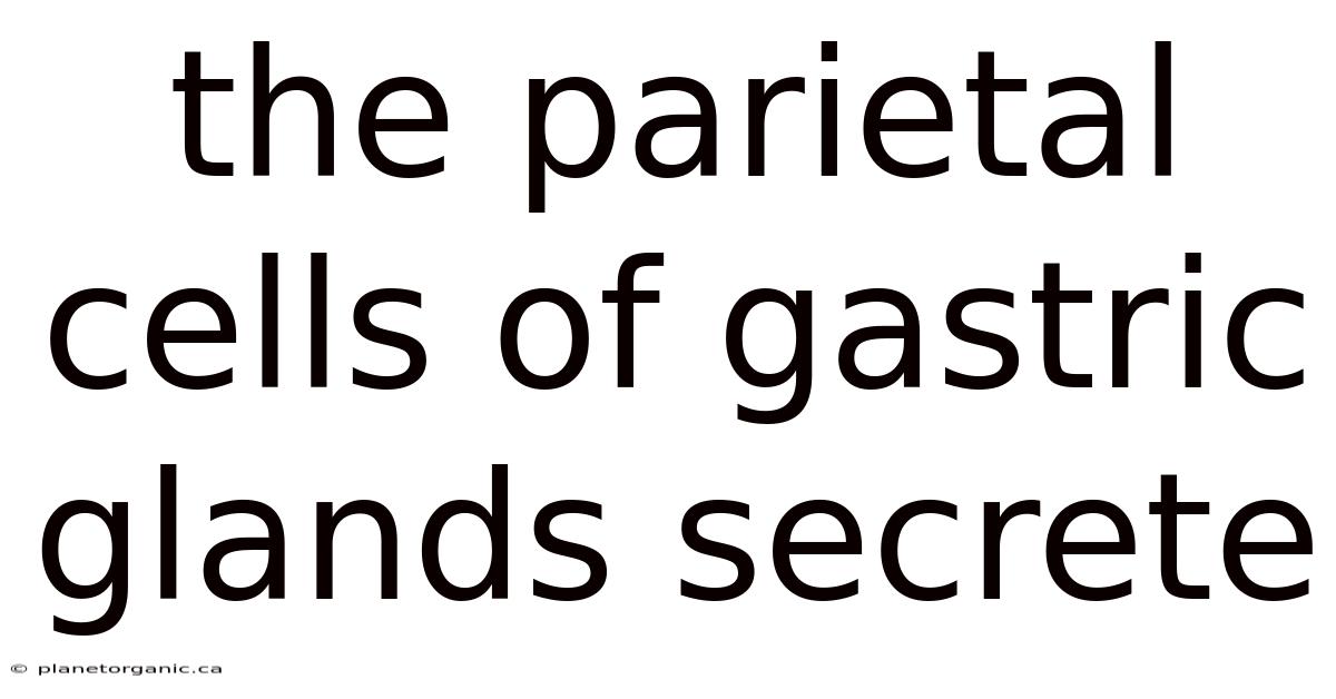 The Parietal Cells Of Gastric Glands Secrete