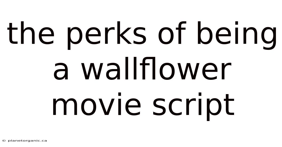 The Perks Of Being A Wallflower Movie Script