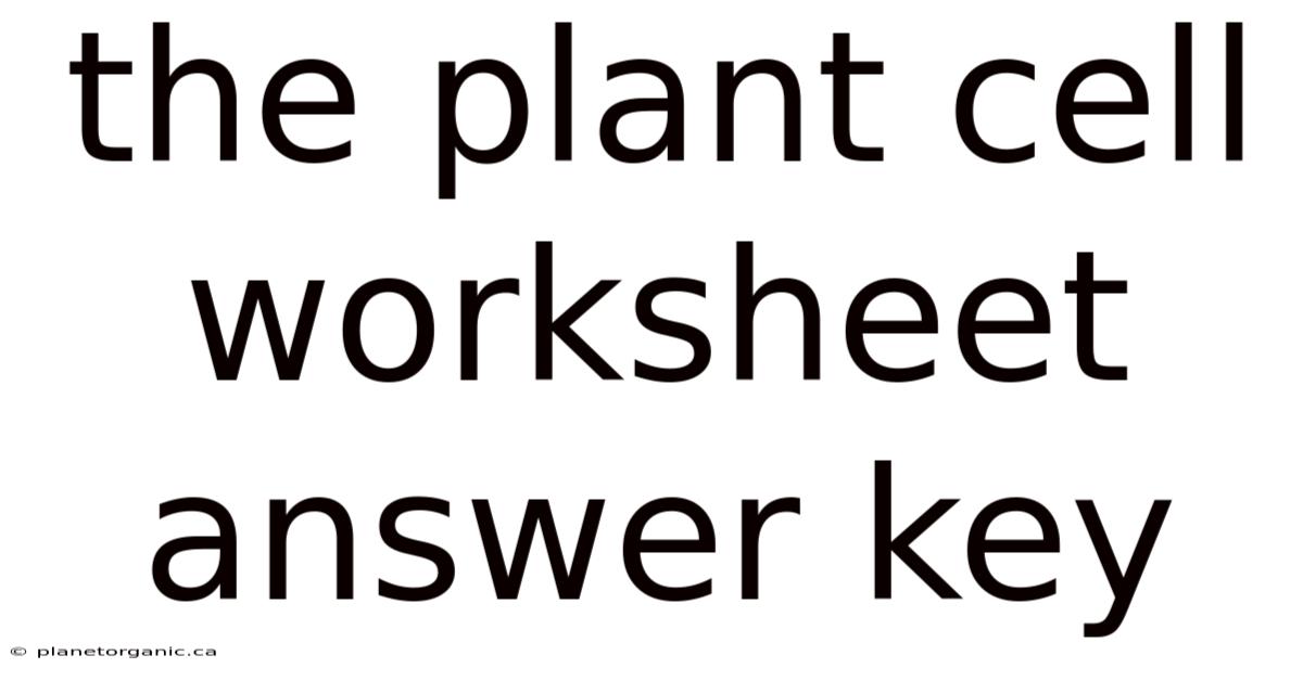 The Plant Cell Worksheet Answer Key