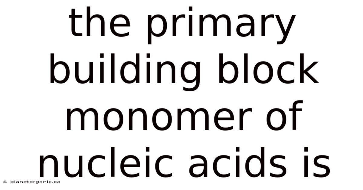 The Primary Building Block Monomer Of Nucleic Acids Is