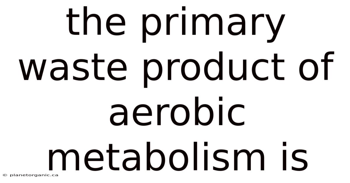 The Primary Waste Product Of Aerobic Metabolism Is