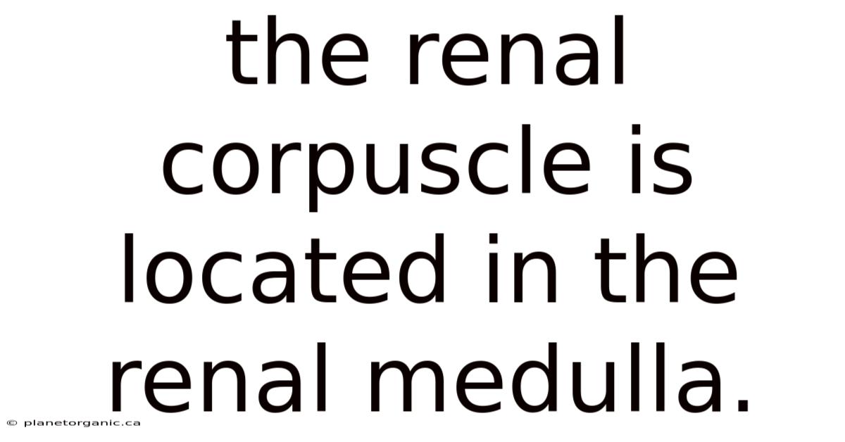 The Renal Corpuscle Is Located In The Renal Medulla.