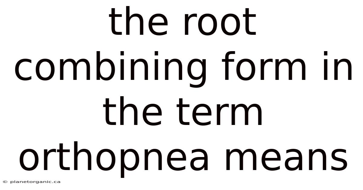 The Root Combining Form In The Term Orthopnea Means