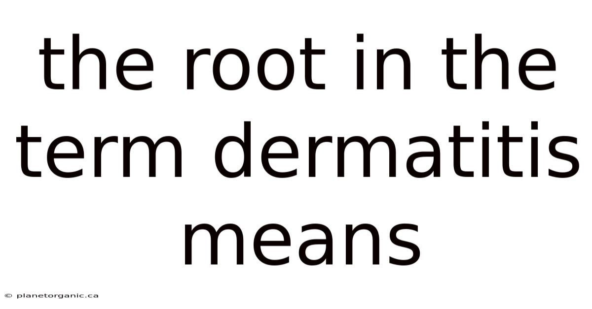 The Root In The Term Dermatitis Means