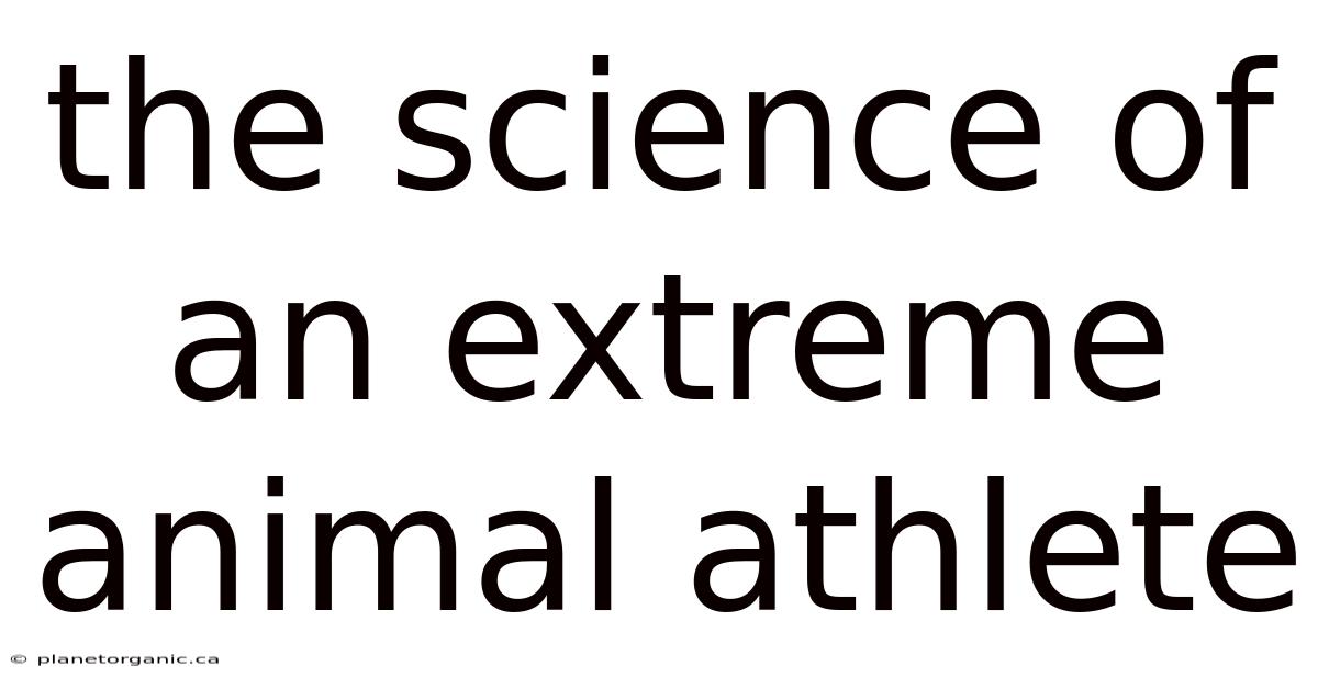 The Science Of An Extreme Animal Athlete