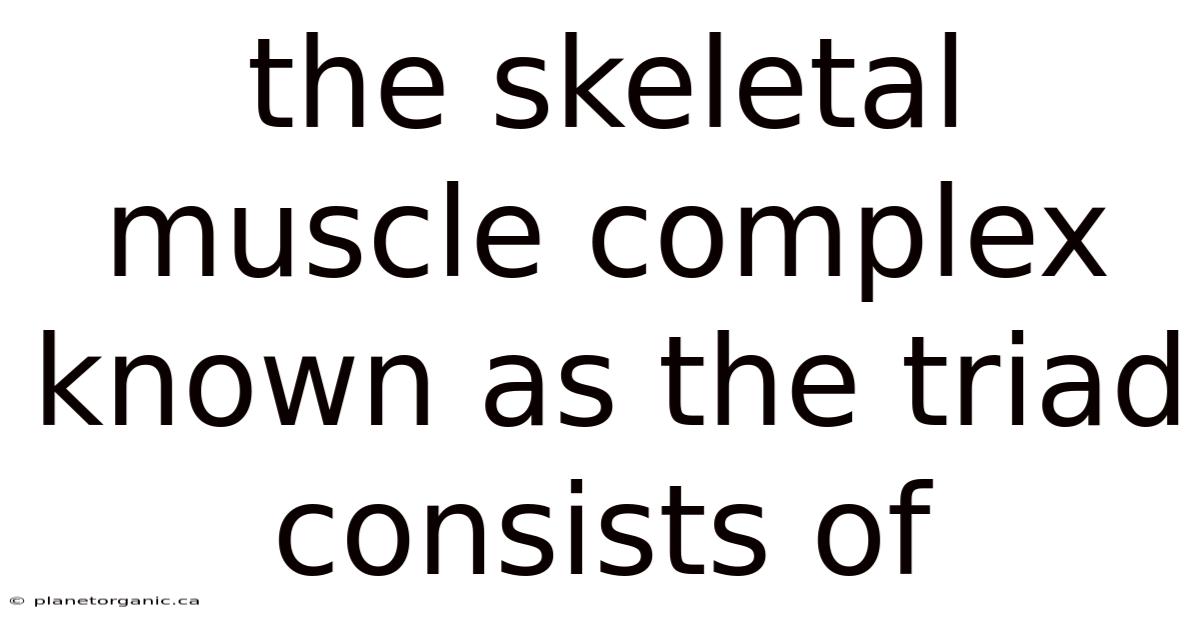 The Skeletal Muscle Complex Known As The Triad Consists Of